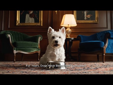 LOONAWELL | Redefining Dog Wellness with Science and Purpose | Invest Now on Crowdcube