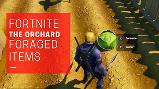FORTNITE SEASON 3: Gather or Consume Foraged Items at the Orchard