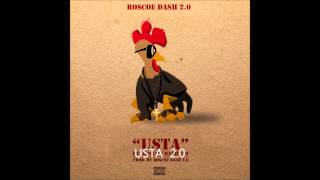 NEW 2013 Rosco Dash  Usta