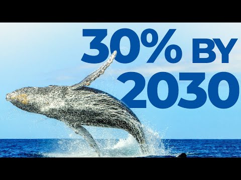 Protecting 30% of our oceans by 2030