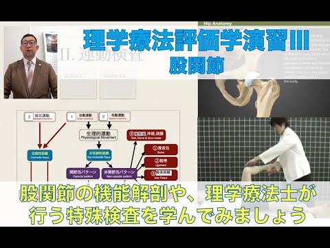 理学療法学科 【医療創生大学 健康医療科学部 理学療法学科 模擬授業】股関節