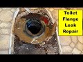 Toilet Flange Leak - Subfloor Replacement