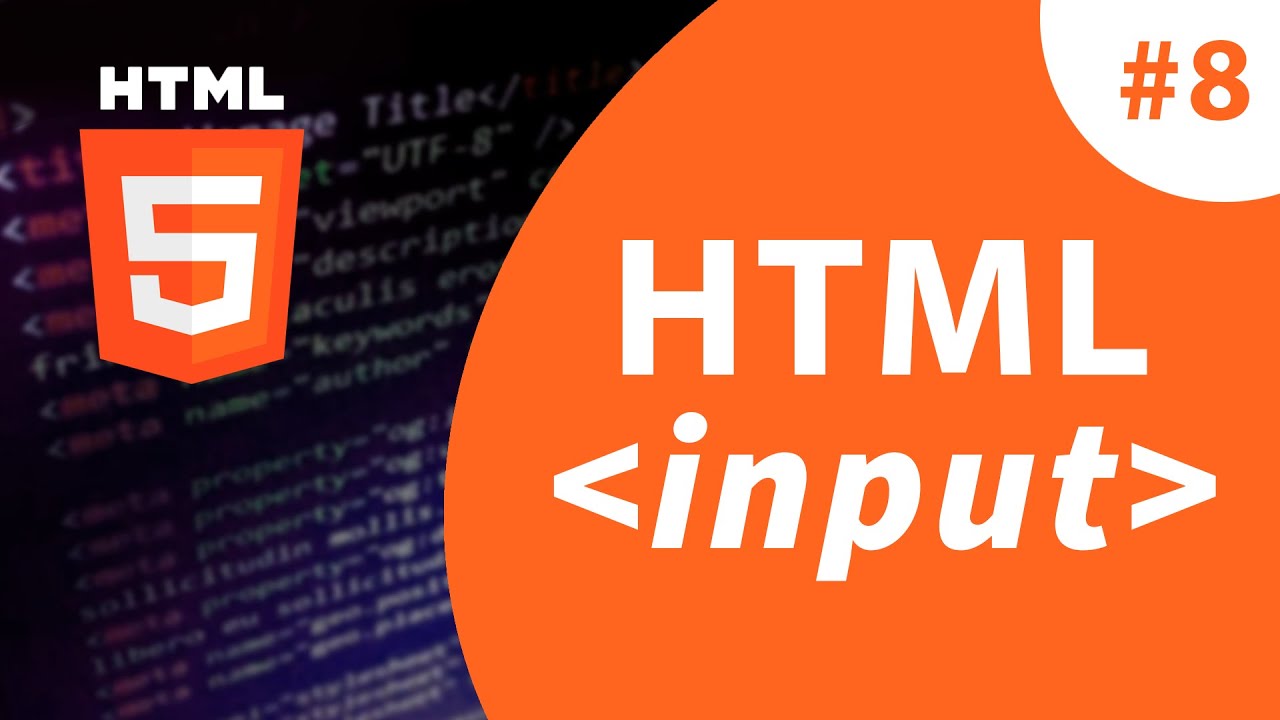 Урок #8 - Тег input в HTML.