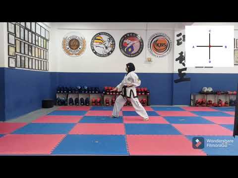 Saju Makgi Tul | Taekwondo ITF #taekwondo #highkickstaekwondo #patternitf
