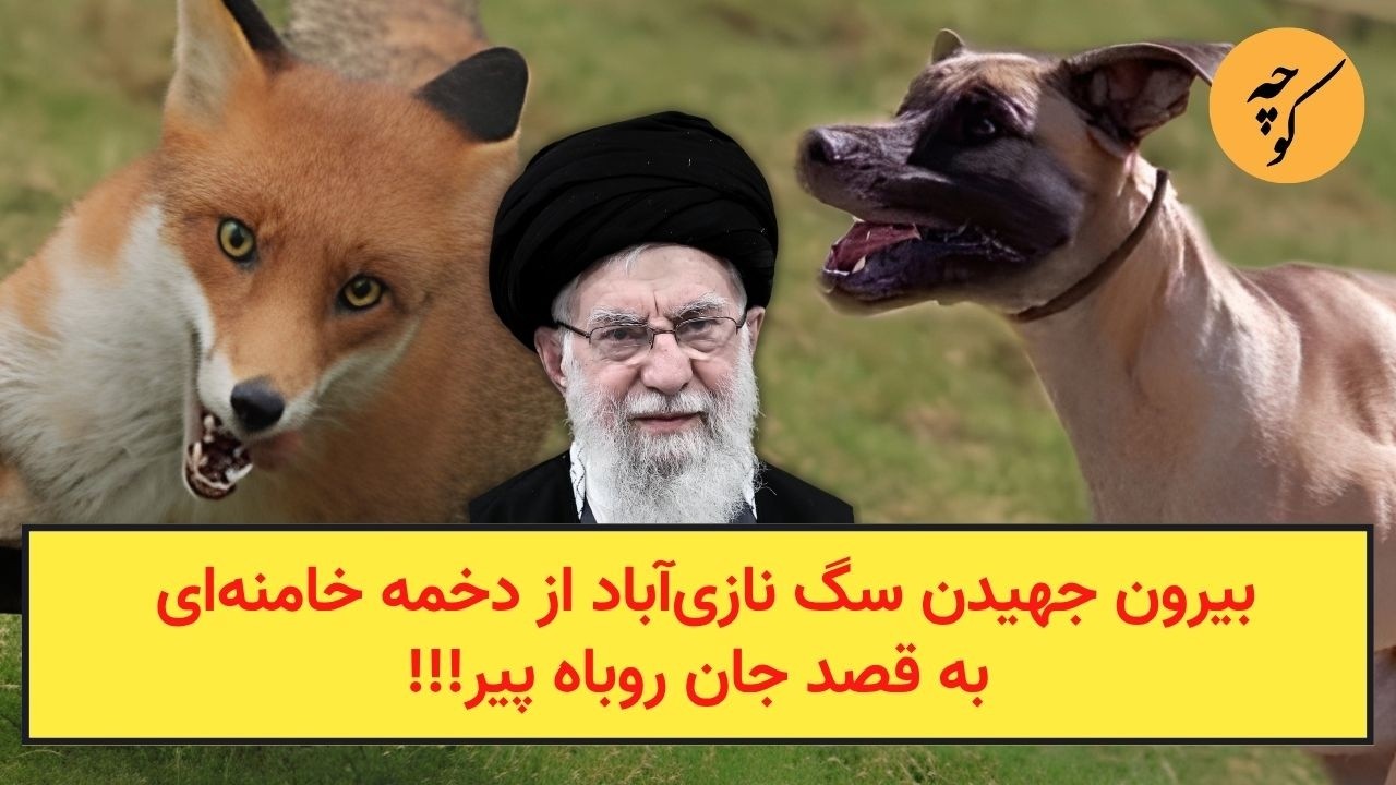 بیرون جهیدن سگ نازی‌آباد از دخمه خامنه‌ای به قصد جان روباه پیر!!!