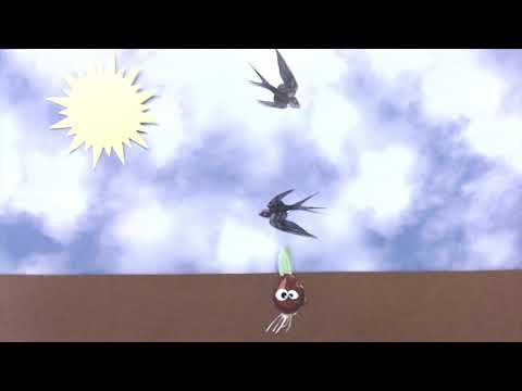 Tulpe von Anna und Michel