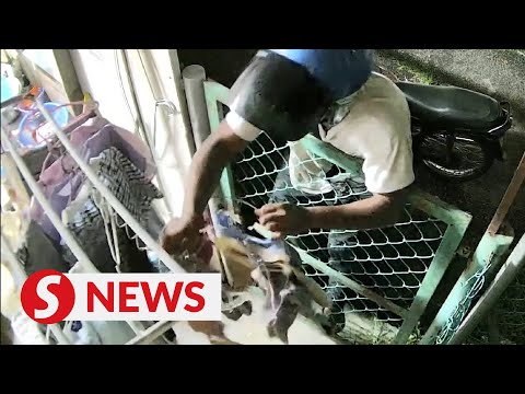 Underwear thief captured on CCTV