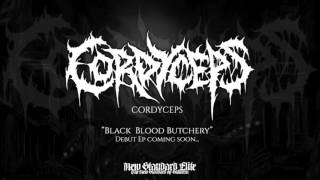 Cordyceps - 