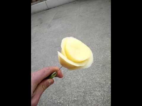 しおれたバラにジャガイモを使って植える：神話か現実か？  庭園