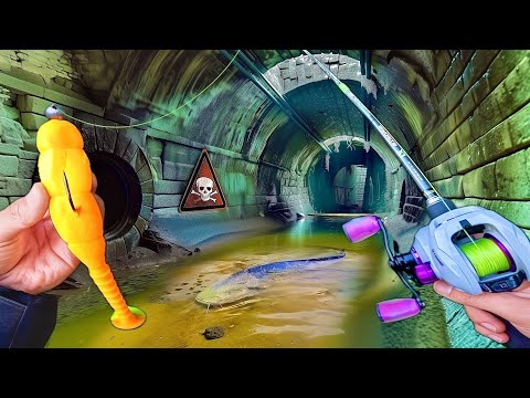 Pêcher un monstre des catacombes sous la ville !!