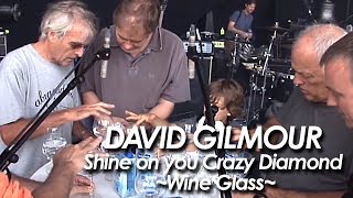 DAVID GILMOUR ：PINK FLOYD 『Shine On You Crazy Diamond ~Wine Glass~ 』by miu JAPAN