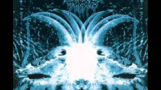 Darkthrone - Rex