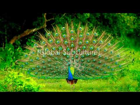 Yudi Watanabe, Andre Moret, L Georges - Oluap Aos Day (Original Mix) [Soundteller Records]