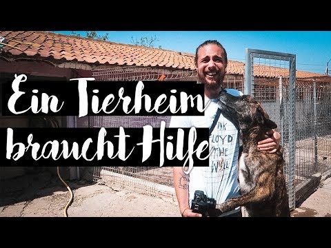 download lagu mp3 mp4 Hundeheim Spanien, download lagu Hundeheim Spanien gratis, unduh video klip Hundeheim Spanien