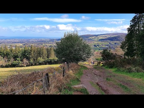 Top rated Tourist Attractions in Tallaght, Ireland | 2020