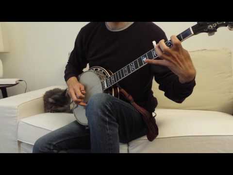 Swallowtail Jig - 5 string banjo (slow and fast)