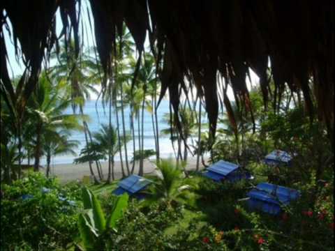 Does somebody know this song??