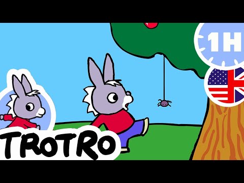 TROTRO BEST MOMENTS | 🌸 Trotro has fun outdoors! 🌿