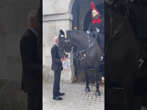Must-See Moment: Tourist Feeds Apple to King's Guard Horse #shorts