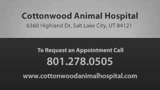 preview picture of video 'Cottonwood Animal Hospital - Short | Salt Lake City, Utah'