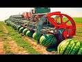 Farmers Use Farming Machines You've Never Seen   Incredible Ingenious Agriculture Inventions Ep 72