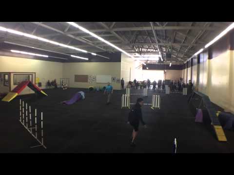 Bev and Pixie - Gamblers (12") - 2015-05-17