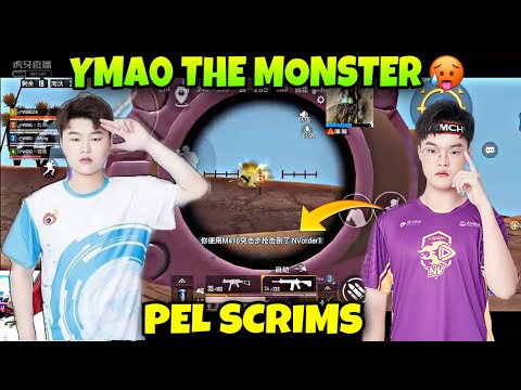 WBG Ymao Destroyed Nova in PEL Scrims | WBG Ymao Gameplay | WBG Ymao |