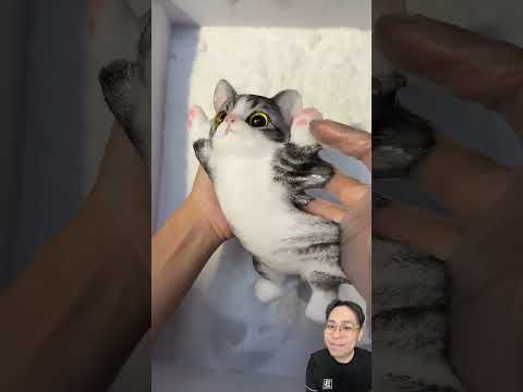 Mèo squishy dễ thương quá