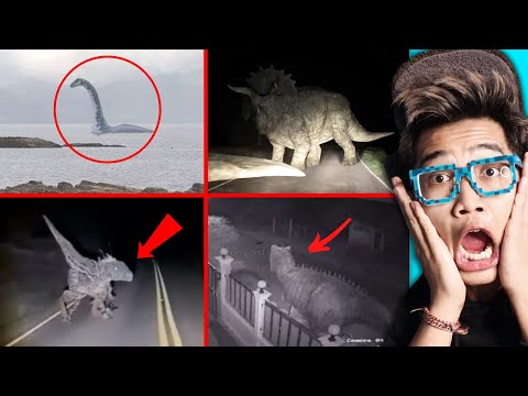 KITA MENEMUKAN NAMPAK DINOSAURUS YANG TERTANGKAP KAMERA BENERAN NYATA ADA DI DUNIA!!!