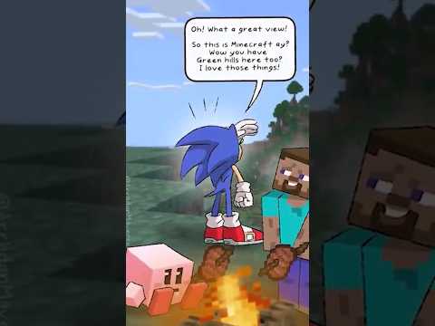 Sonic and Minecraft don't mix well