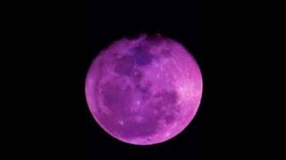 Aullándole a la luna - De Espaldas al Patriarcado