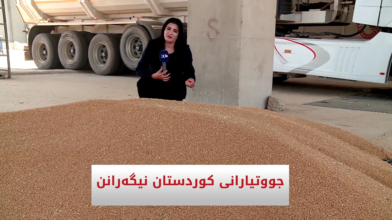 ڤیدیۆ | جووتیارانی کوردستان نیگەرانن