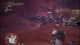 ディノバルド  VS  ディアブロス　(縄張り争い)