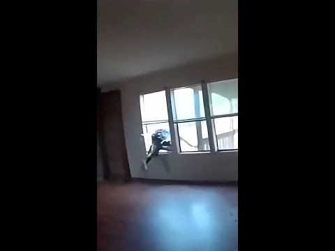 Burglar jumps out of window to evade police in Oklahoma