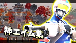 [2nd Edition] [Fortnite] God Aim Collection #Fortnite #fortnite #Kill Collection