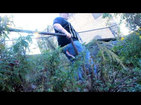 Bilderburgh - Dollars (Official Video) (prod. Big Chubb & JBG)