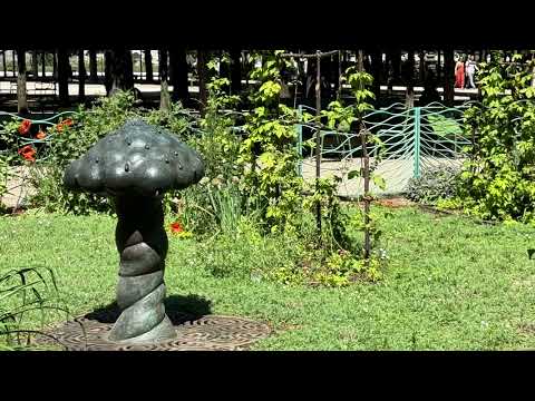 image : Le jardin des Tuileries à Paris