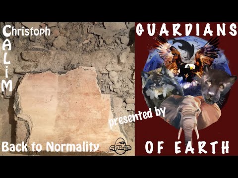 Christoph CALiM - "Back to Normality" (Official Music Video)