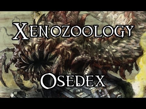Xenozoolog: Osedex - 40K Theories