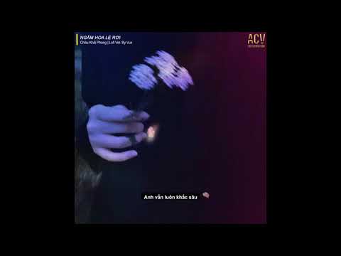 Ngắm Hoa Lệ Rơi (Lofi Ver.) - Châu Khải Phong x Vux...ta đã từng hứa yêu nhau đến muôn đời sau...