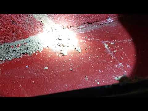 Termite Infestation Found in the Basement in Far Hills, NJ