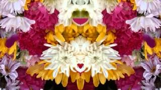 Fate&#39;s Right Hand (by Rodney Crowell live in Dublin in 2004)