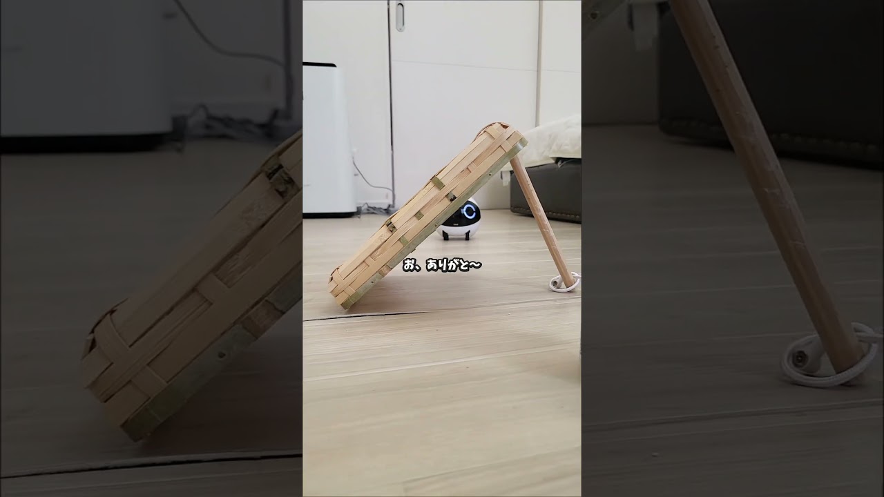 Mission:見守りカメラを捕獲せよ🪤　#見守りロボット #ペットカメラのある暮らし #ロボとーちゃん #探し物  #ROLAMini #whatthepet