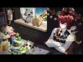 Clip 1