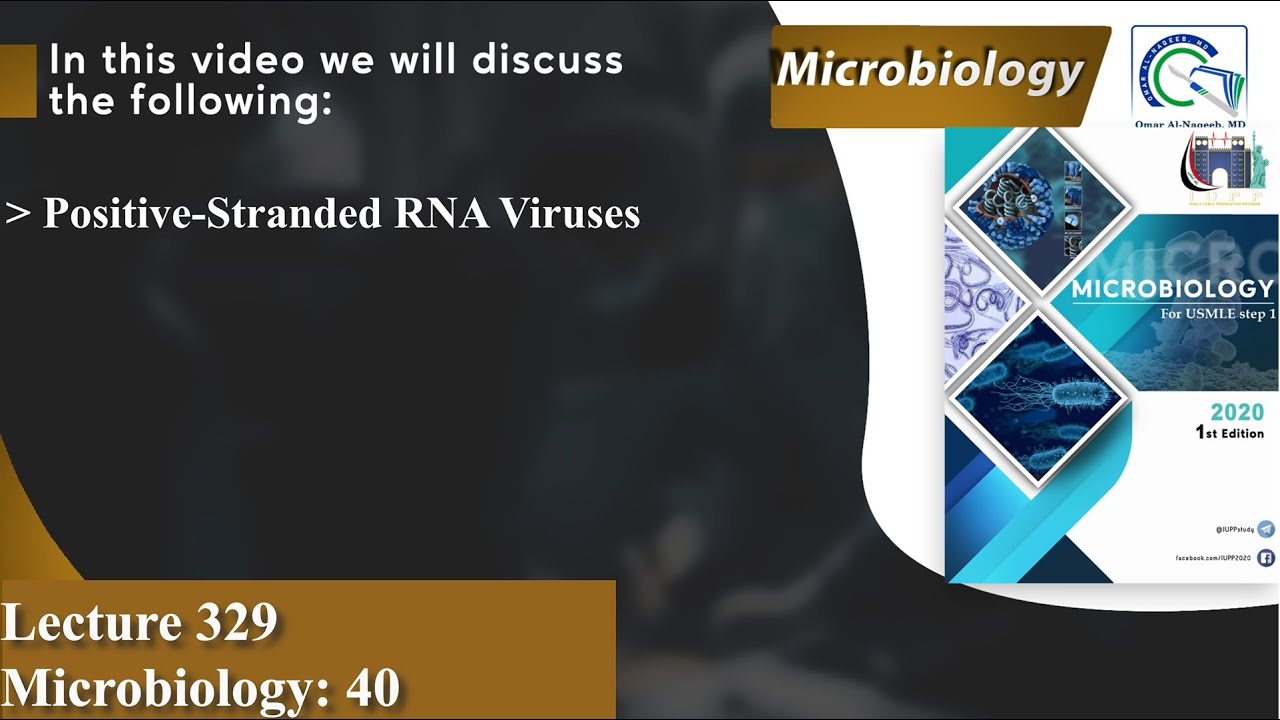 Positive-Stranded RNA Viruses