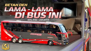 Download lagu AKHIRNYA NAIK BUS RASA HOTEL MEWAH😍‼️Trip Malang - Jakarta with Juragan 99 Trans Tweety mp3 Download lagu AKHIRNYA NAIK BUS RASA HOTEL MEWAH😍‼️Trip Malang - Jakarta with Juragan 99 Trans Tweety mp3
