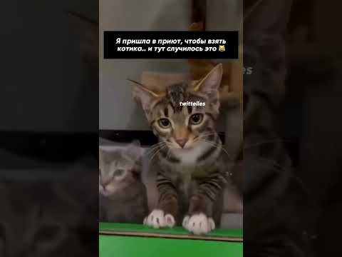 2202206828748769 мой номер карты  если не жалко по. 10 рублей большая помощь будет