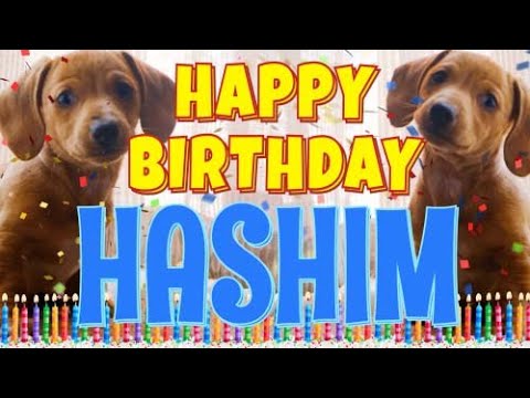 Happy Birthday Hashim! ( Funny Talking Dogs ) What Is Free On My Birthday