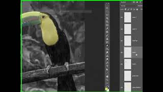 5SavingPhotoshopJpeg