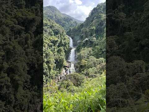 Chorros de taparto #taparto #andes #antioquia #colombia